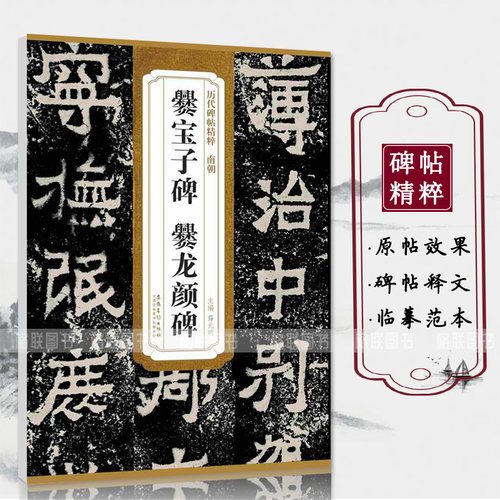 正版历代碑帖精粹南朝爨宝子碑爨龙颜碑简体旁注附技法解析第三辑碑帖毛笔隶书书法练字帖安徽美术出版社 - 图0