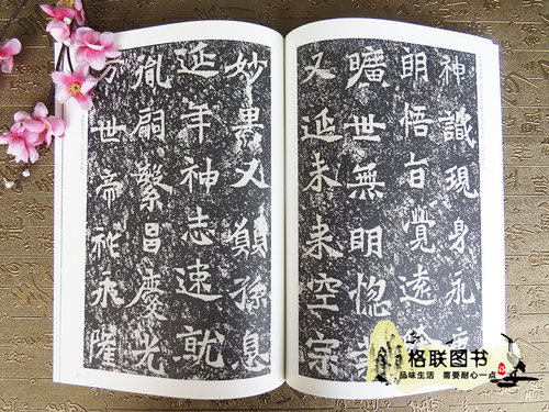 正版北魏龙门二十品 上下 历代碑帖精粹 薛元明编 附技法解析 临摹临习篆书的好范本艺术书法篆刻 - 图2