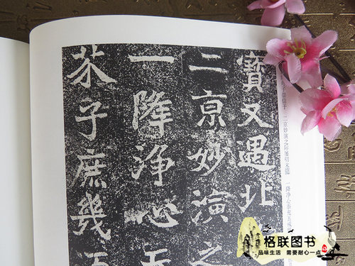 正版北魏龙门二十品 上下 历代碑帖精粹 薛元明编 附技法解析 临摹临习篆书的好范本艺术书法篆刻 - 图3