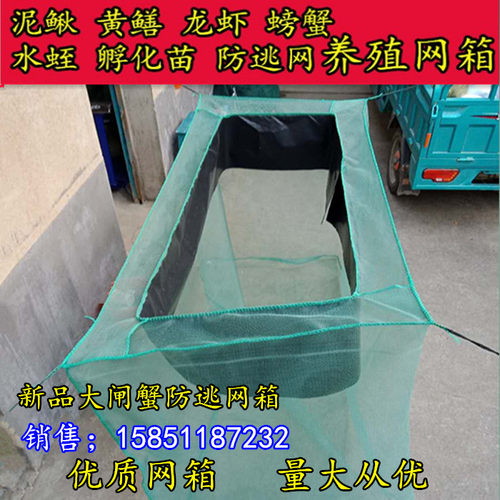 新品大闸蟹网箱养殖渔网加沿防逃泥鳅黄鳝龙虾螃蟹网箱厂家直销 - 图1