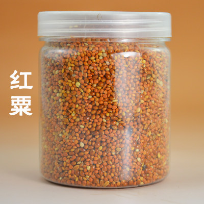施王蚁馆 混合种子 草籽 红黄粟谷 加纳利子 玉米碎 收获蚂蚁食物 - 图1