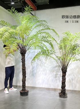 大型仿真桫椤蕨草叶树绿植原始森林风格室内庭院落地景观植物盆栽