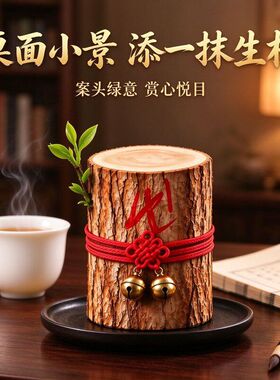 雷击香龙木龙虎山能开花的香木