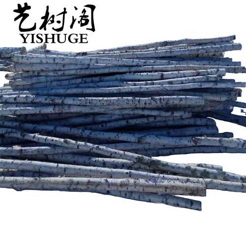 白桦树装饰白桦树干白桦木树段圆木棍白树枝树杈树桩橱窗美陈软装 - 图3