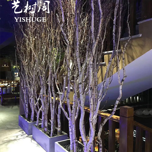 白桦树装饰白桦树干白桦木树段圆木棍白树枝树杈树桩橱窗美陈软装 - 图2