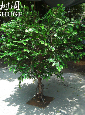 仿真度高绿植榕树树枝包邮送货