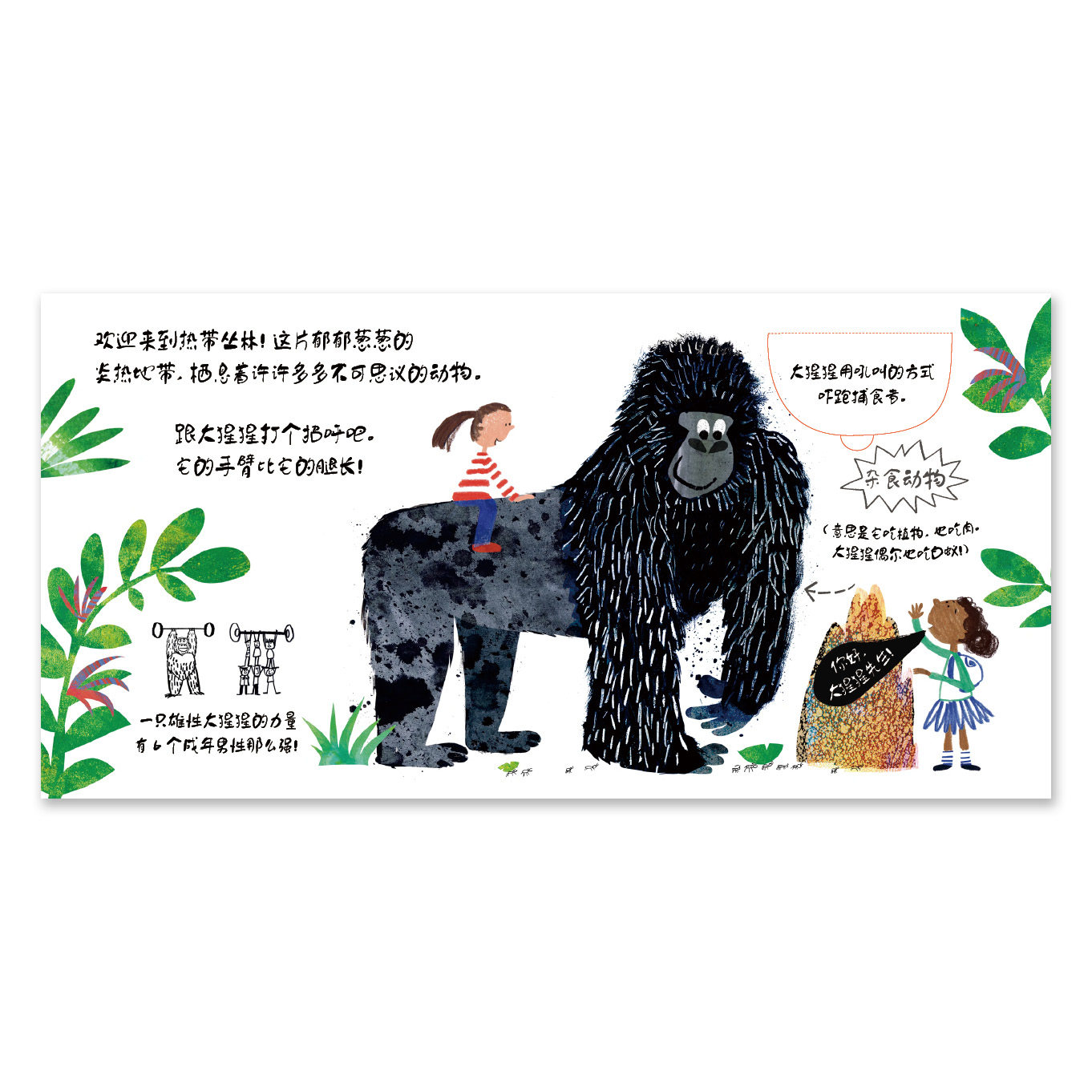 正版包邮 向动物朋友问声好 套装5册 好看又好玩的动物认知翻翻书 用类比方式介绍动物特征 2-4岁动物认知科普 后浪书籍