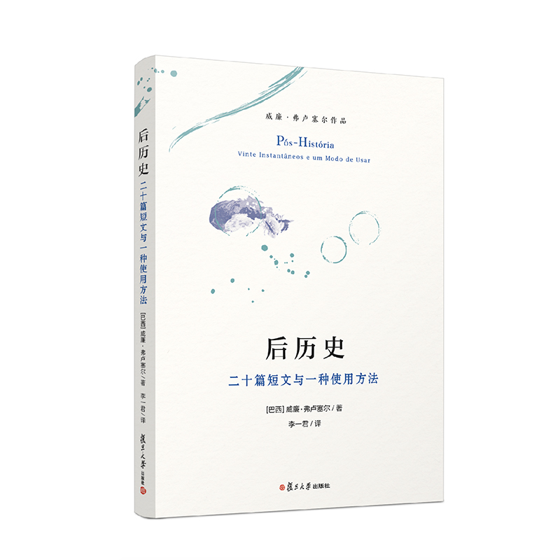 正版后历史二十篇短文与一种使用方法[巴西]威廉·弗卢塞尔著传播媒介哲学文集演讲稿复旦大学出版社9787309169096-图0