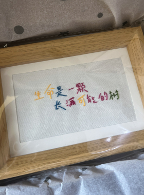 彩色文字刺绣材料包定制diy相框手缝礼物送男朋友同学手作团建