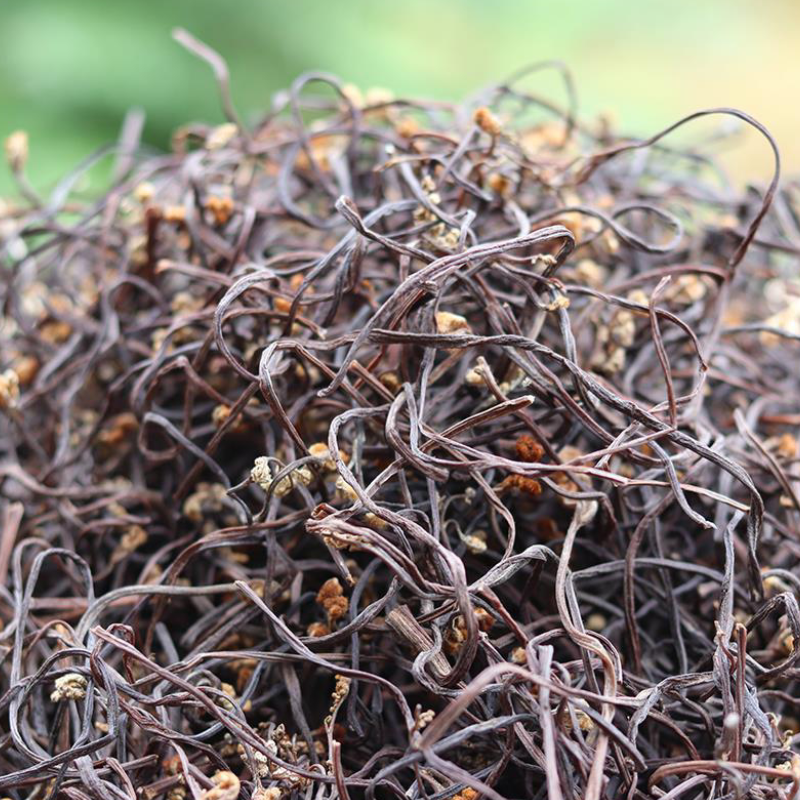 云南野生干蕨菜500g如意菜拳菜山毛野菜农家自晒龙爪菜蕨菜干干货 - 图0