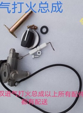 蒸炉15排双进气肠粉机节能王电子点火开关点火总成原厂配件开关！