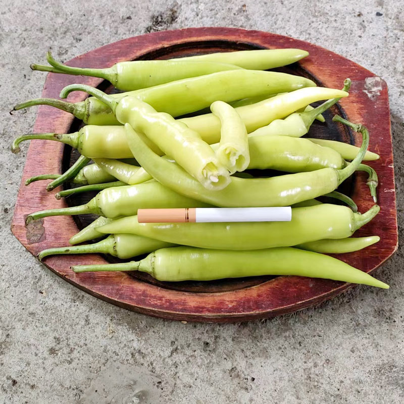 广西新鲜白辣椒 白玉椒 腌制泡椒 白皮辣椒 尖椒蔬菜老坛酸菜微辣 - 图1