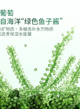 美颜秘笈海葡萄沁润保湿面膜