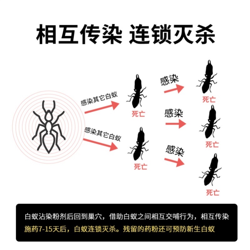 白蚁防治专用药粉杀虫剂专业灭白蚁药全窝端家用装修园林防蛀虫 - 图0