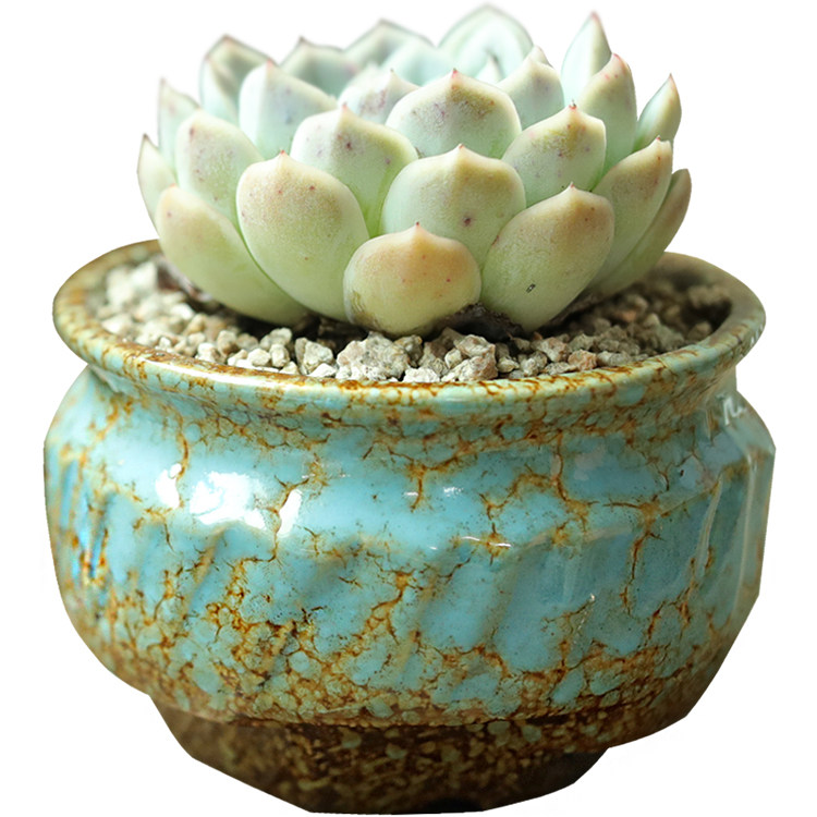 新款窑变多肉植物花盆陶瓷创意粗陶个性家用室内简约透气花盆特价,淘宝优惠券,粉丝福利购,淘宝优惠卷
