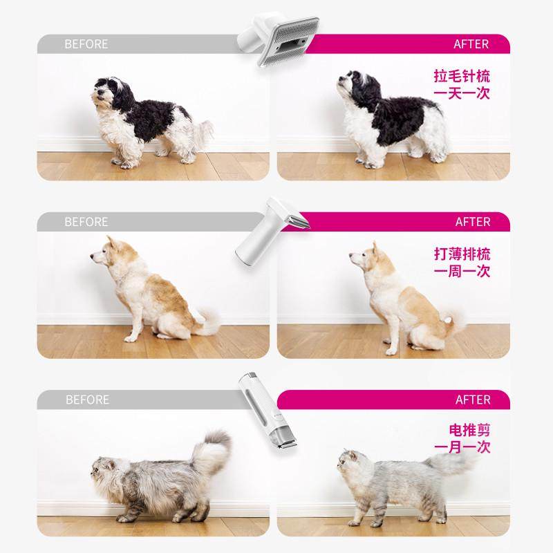 小佩51宠物理毛器狗狗猫咪电动吸毛梳剃毛器电推剪,淘宝优惠券,粉丝福利购,淘宝优惠卷