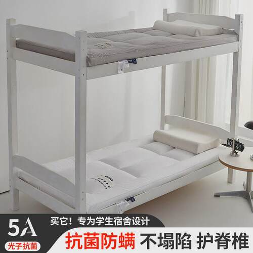 简约纯色加厚软床垫床褥学生宿舍软垫子家用酒店民宿垫被褥子南通 - 图2