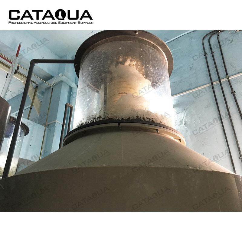 鱼类水产养殖循环水系统分离器系列蛋白质cat气泡分离有机物,淘宝优惠券,粉丝福利购,淘宝优惠卷