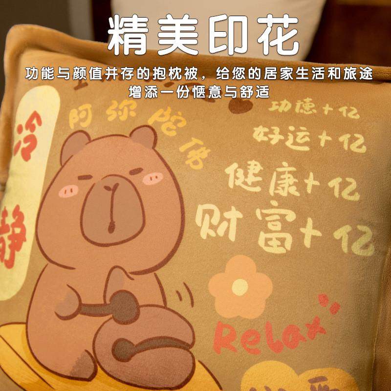 水豚抱枕被子两用毯子二一办公室午睡神器汽车折叠空调被子新款,淘宝优惠券,粉丝福利购,淘宝优惠卷