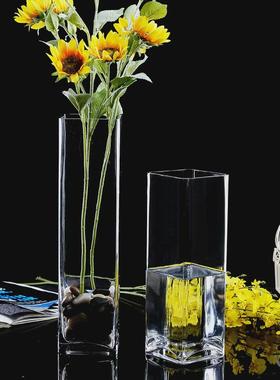 高硼硅玻璃方形花瓶大号客厅水养水培植物方形花盆鲜花插花方罐