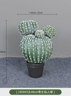 沙漠仙人柱球热带仿真仙人掌植物店铺橱窗装饰绿植盆栽摆件摩洛哥