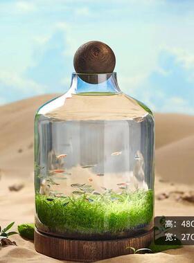 厂家日式玻璃鱼缸木托轻奢创意生态瓶椭圆形生财瓶聚宝盆微景观
