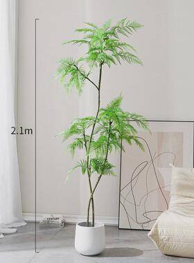 新款蓝花楹仿真绿植落地盆栽仿生植物旁室内客厅沙发摆件装饰树