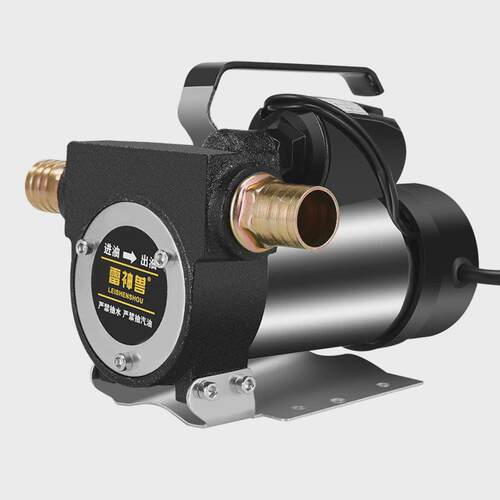 自动启停机电动抽油泵12V24V220V伏自吸泵油泵柴油泵加油机抽油泵 - 图3