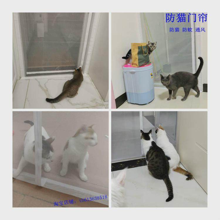 防猫门帘软隔断帘纱网门栏挡猫宠物防逃订制纱窗门无轨软纱门拉链,淘宝优惠券,粉丝福利购,淘宝优惠卷