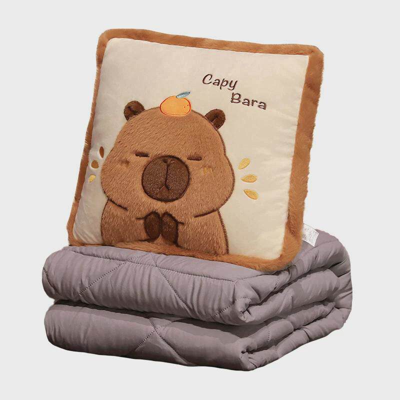 抱枕被子两用办公室沙发靠垫可折叠午休枕头毯子二一车用空调被,淘宝优惠券,粉丝福利购,淘宝优惠卷