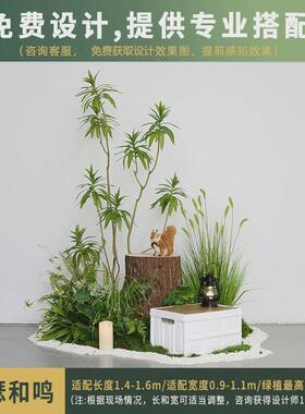 仿真绿植造景室内露营风组合大型橱窗仿真植物盆栽仿真树景观设计