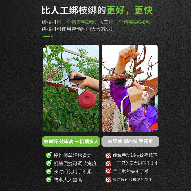 新款绑西红柿绑藤绑枝神器黄瓜绑枝葡萄绑蔓钉子胶带器绑枝捆绑机,淘宝优惠券,粉丝福利购,淘宝优惠卷