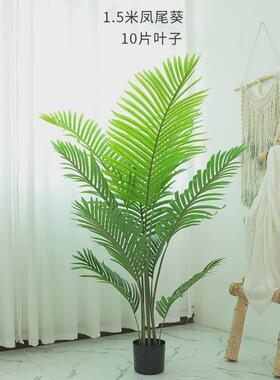 凤尾竹散尾葵仿真植物盆栽客厅北欧仿生大型绿植造景花艺假树摆件