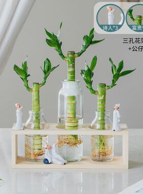 水培植物办公室富贵竹绿植盆栽绿萝室内花卉客厅装饰桌面摆件水养