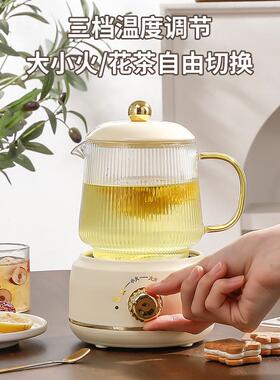 养生壶迷你电炖杯小型加热水杯全玻璃办公室杯养生杯迷你炖煮一体