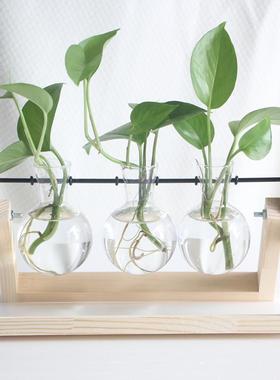 创意水培植物透明木架花瓶桌面小清新容器客厅现代装饰品摆件