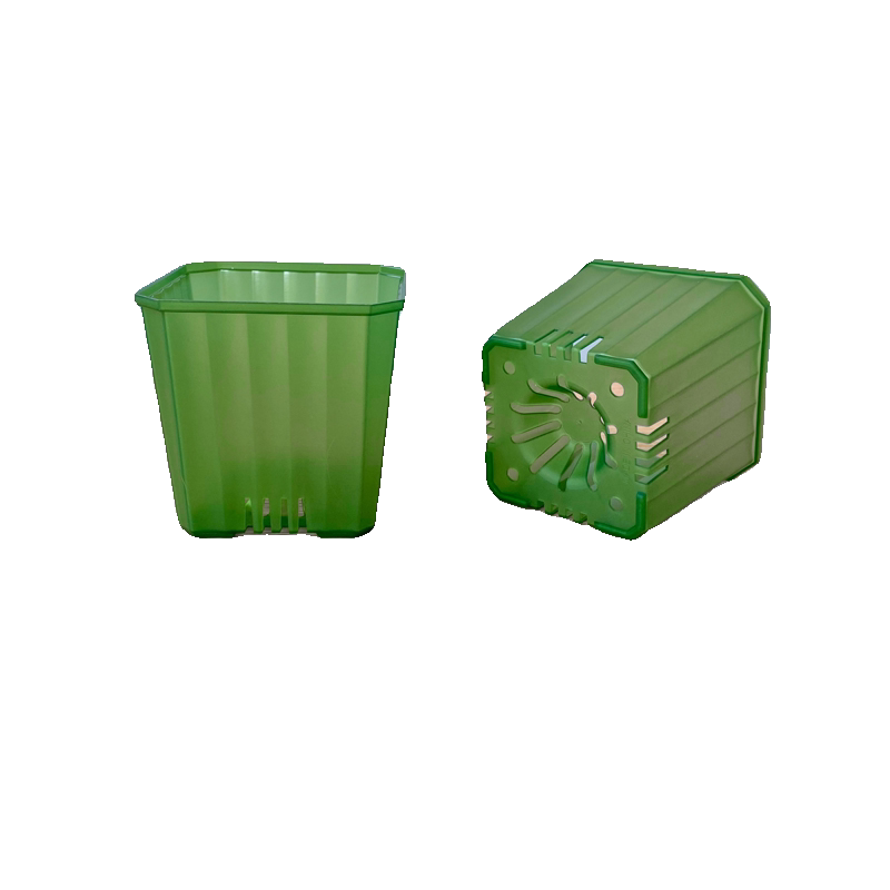 ll新品暮光盆 多肉彩色塑料花盆 透明半透阳台玉露景天生石花十二,淘宝优惠券,粉丝福利购,淘宝优惠卷