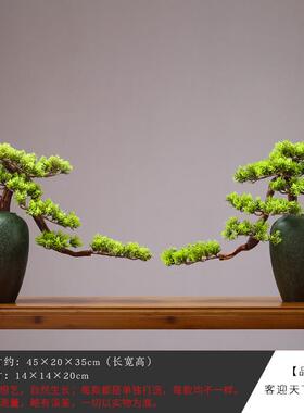 新中式玄关迎客松摆件木制真绿植盆景客厅创意枯山水禅意装饰品