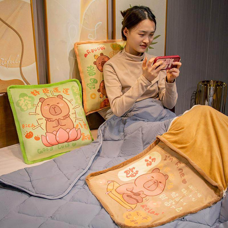 水豚抱枕被子两用毯子二一办公室午睡神器汽车折叠空调被子新款,淘宝优惠券,粉丝福利购,淘宝优惠卷