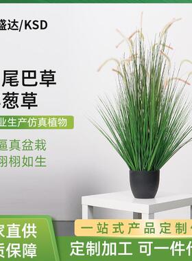 仿真盆栽秋色狗尾巴草洋葱草仿真绿色狗尾巴草草洋葱盆栽绿植摆件