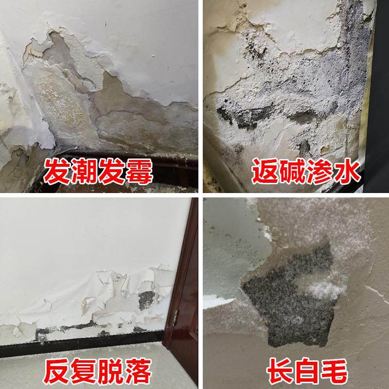墙面防水防霉防碱墙壁修复返潮泛碱长白毛处理补墙膏腻子墙碱渗水,淘宝优惠券,粉丝福利购,淘宝优惠卷