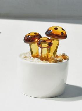 淄博琉璃摆件博山多肉豆芽盆栽仙人掌铃兰花植物水晶玻璃创意