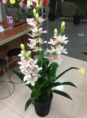 仿真花假花三杆蕙兰家居装饰仿真绿植客厅落地盆景室内塑料花盆栽
