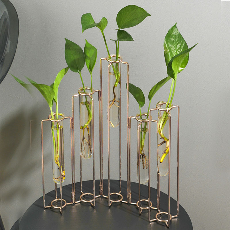 创意玻璃连体试管架组合高花瓶插花长枝摆件客厅一排艺术鲜花玫瑰,淘宝优惠券,粉丝福利购,淘宝优惠卷