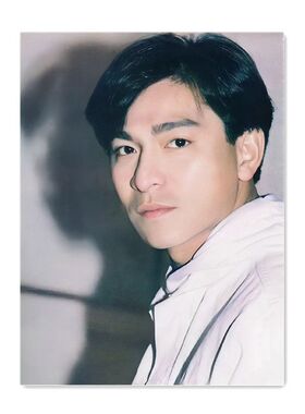 刘德华演唱会周边明星海