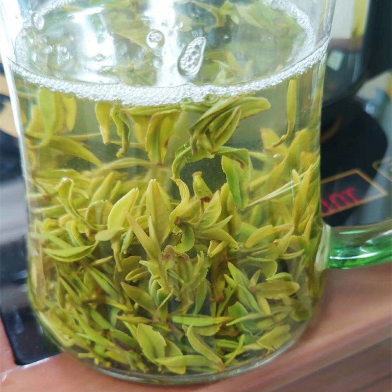 日照绿茶特级头采高山云雾豆香明前早春嫩芽250g2023年谷雨新茶叶