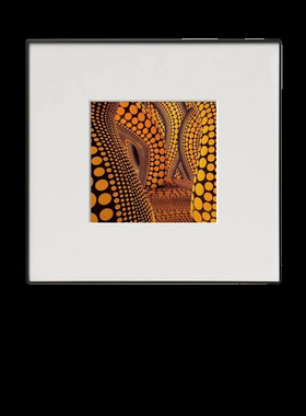 软装样板房高级感现代挂画轻奢极简风格入户玄关实物装饰小挂画