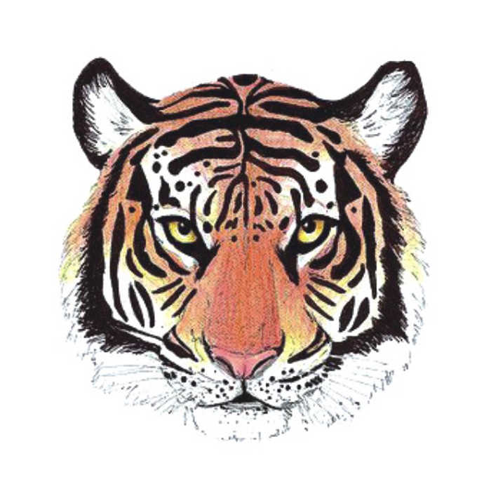 纹身贴虎图腾 新人首单立减十元 22年1月 淘宝海外