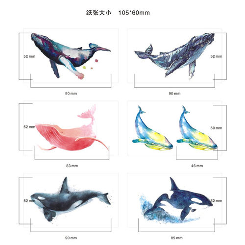 喵小姐原创水彩鲸鱼海豚组合潮流防水纹身贴男女持久个性时尚刺青 - 图2