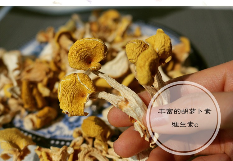 甘南藏区迭部土特产野生榆黄菇150g盒炒菜炖肉特别美味-图3